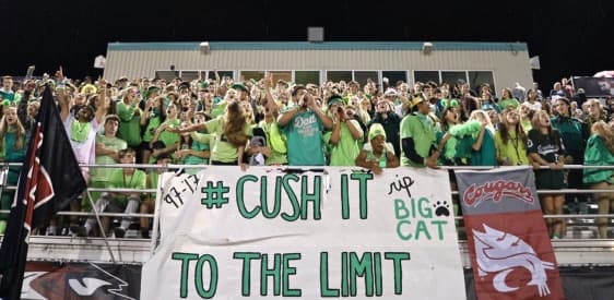 Ben Big Cat Family&Friends 08