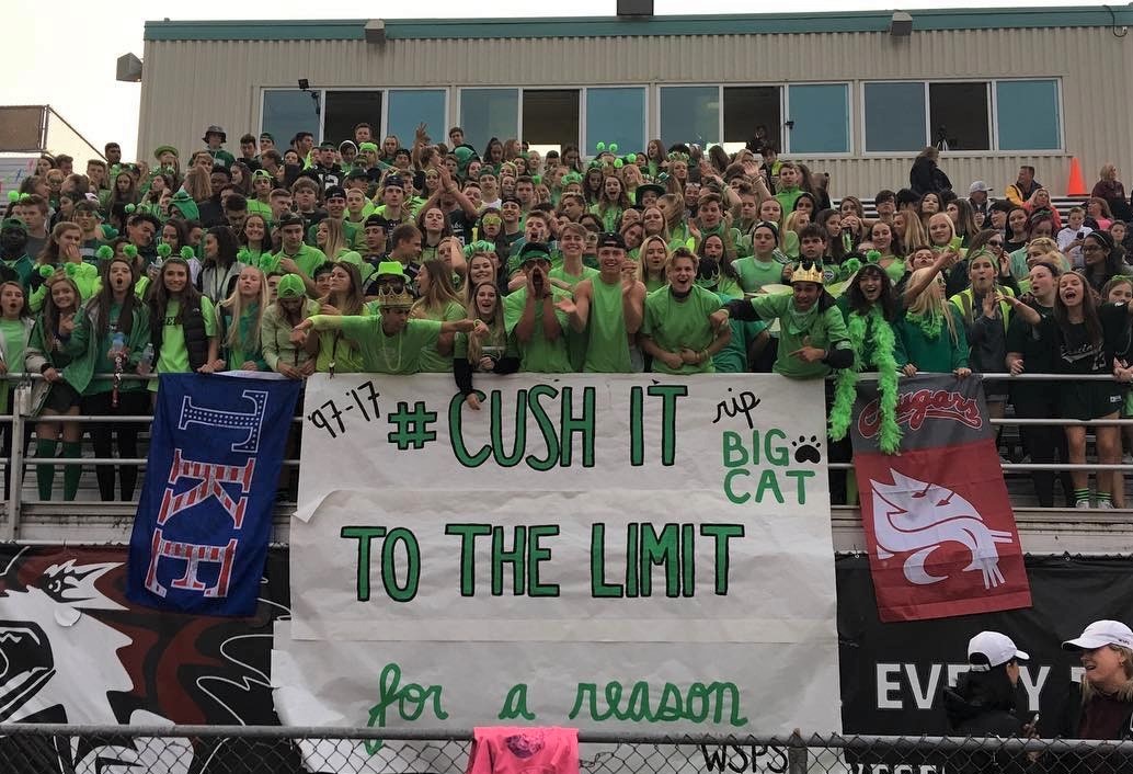 Ben Big Cat Family&Friends 14