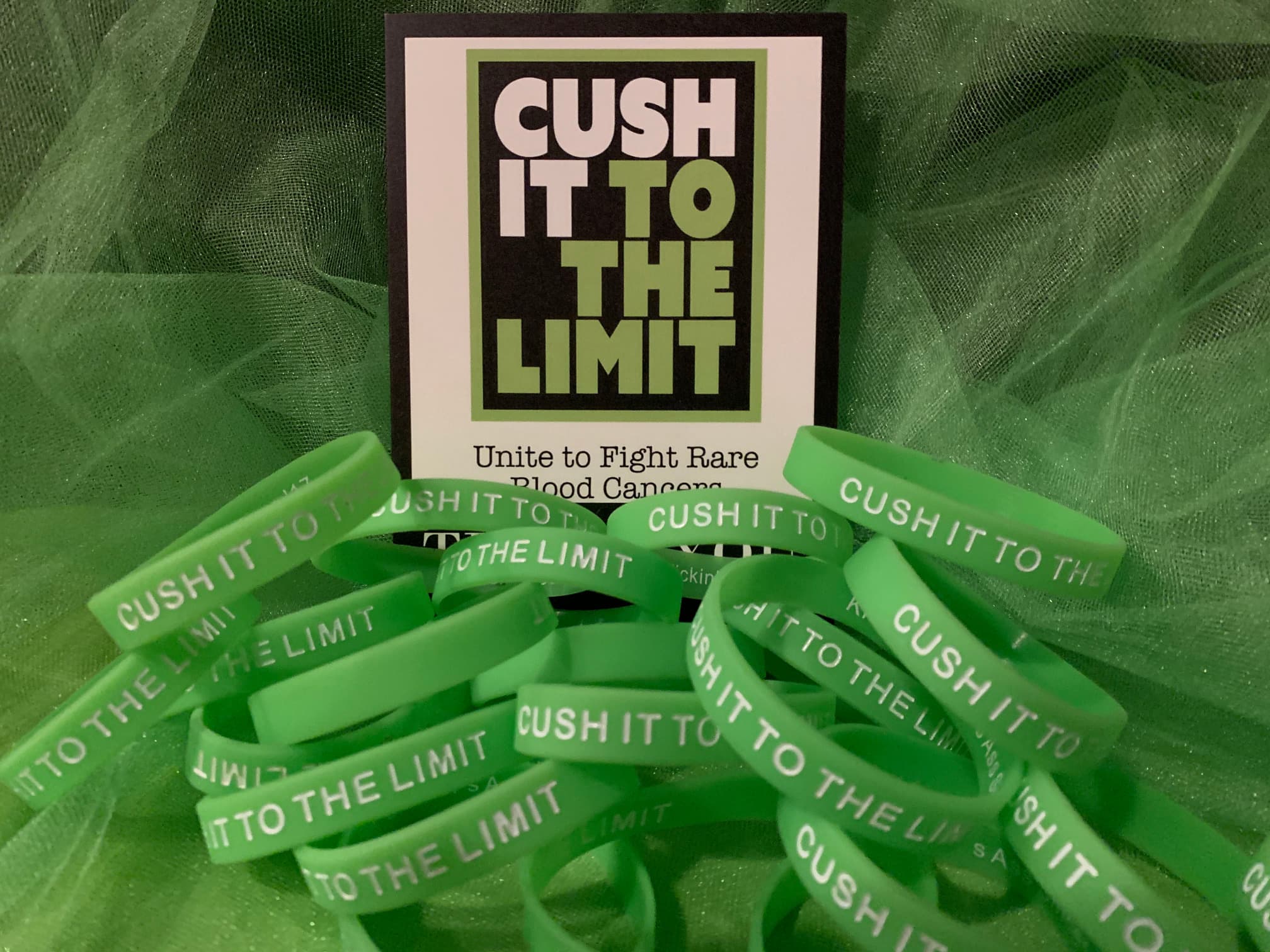 Ben Big Cat Family&Friends 25